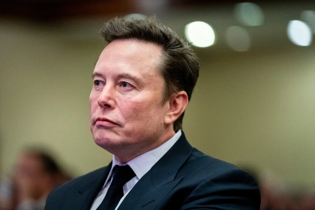 Elon Musk Journey