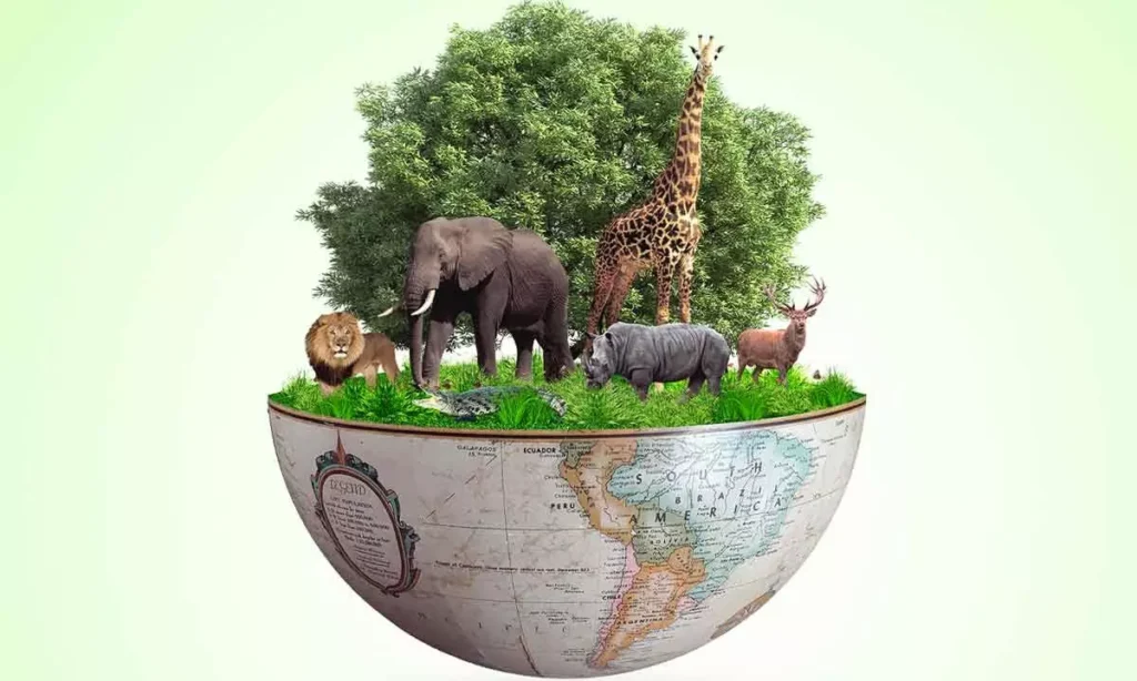 Biodiversity Crisis