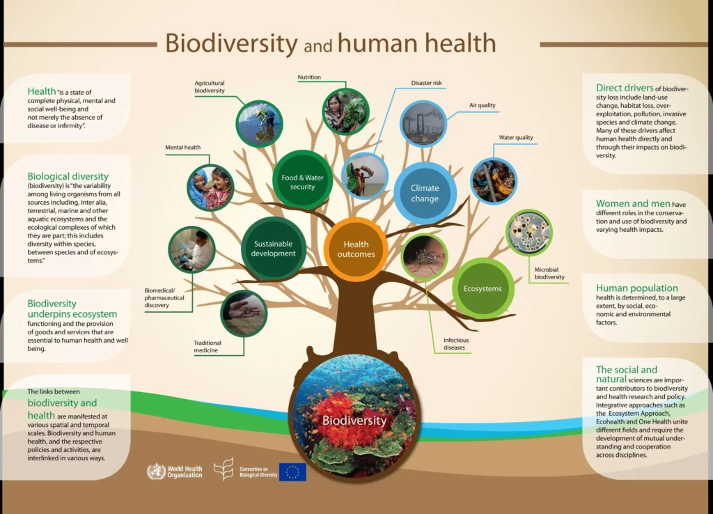 Biodiversity Governance in the Global South