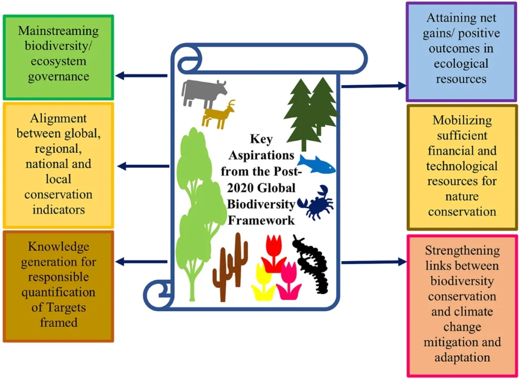 Biodiversity Governance in the Global South